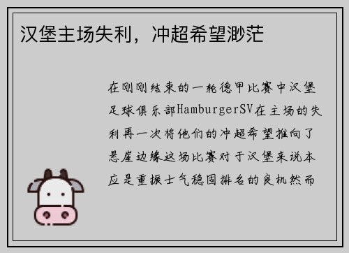 汉堡主场失利，冲超希望渺茫
